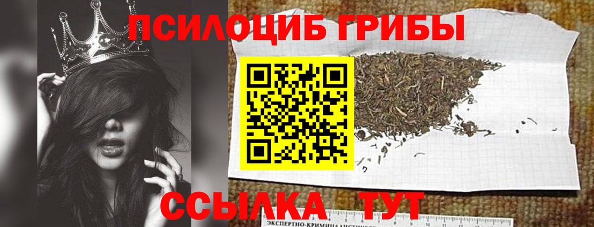 Галлюциногенные грибы Psilocybe  Вход с VPN  Тулун 