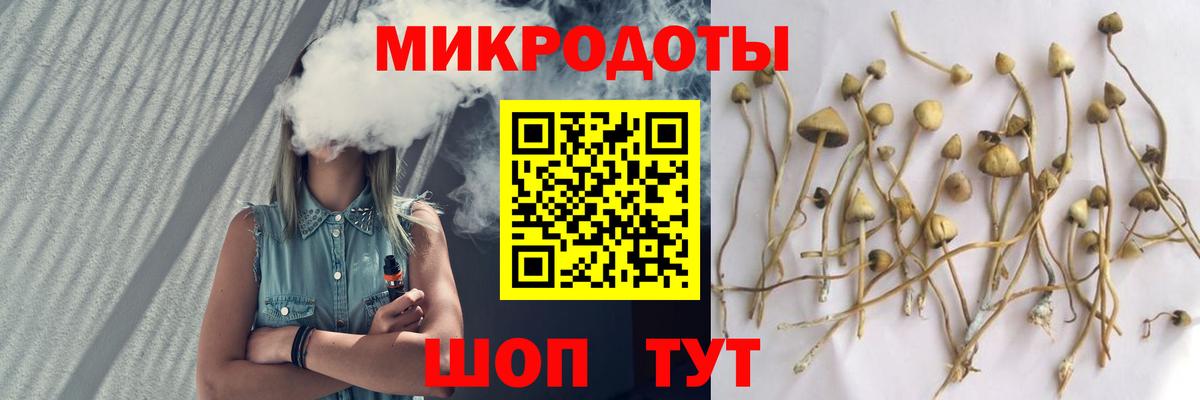 Галлюциногенные грибы Psilocybe Тулун